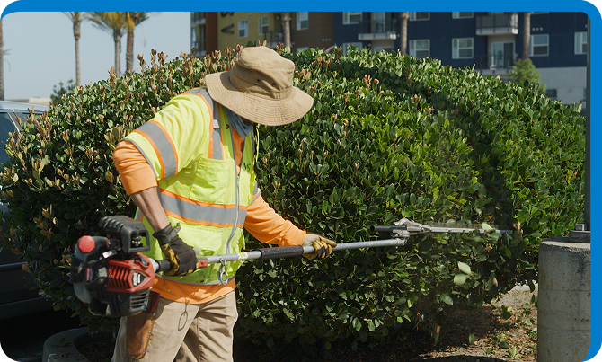 Trusted by Cities & Businesses