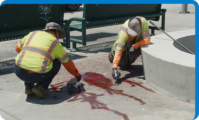 Professional Removal